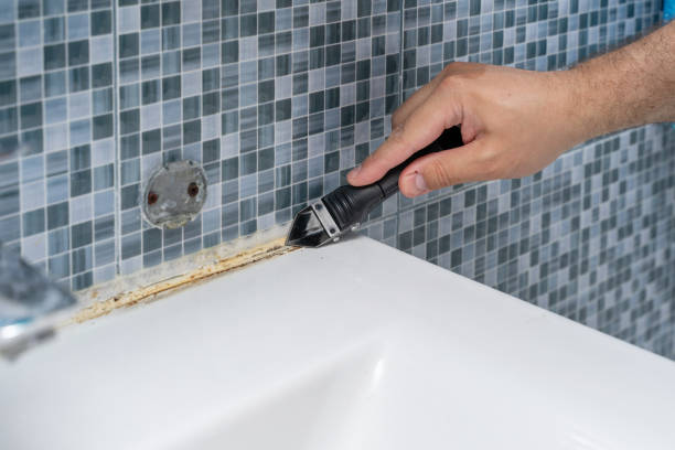 Best Mold Removal Near Me  in St Anthony, MN